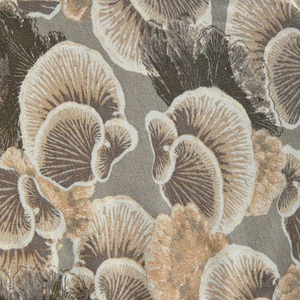4008 - Organic Nature