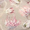 Protea Love