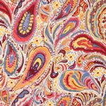 Moroccan Paisley